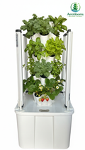 Aerobloom's Atlas 20 planter Aeroponics, Hydroponics Tower with grow lights. Compact indoor growing system.